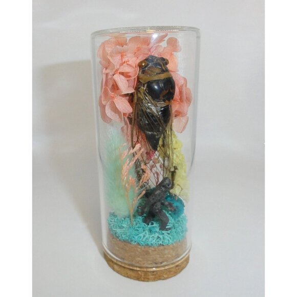 Cicada & Bigfoot Oddity Jar curiosity dome cryptid insect taxidermy floral goth - Picture 10 of 16